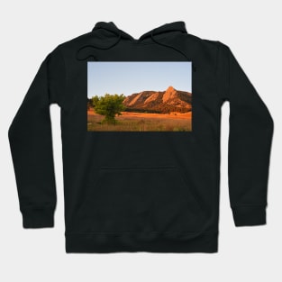 The Flatirons Boulder Colorado from Chautauqua Park Tree Hoodie